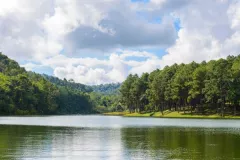 Proyecto hidroeléctrico en el río Sinú no tendrá licencia ambiental (Freepik)