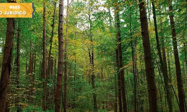 Derecho y cambio climático (III). Necesidad de nuevas reflexiones (Shutterstock)