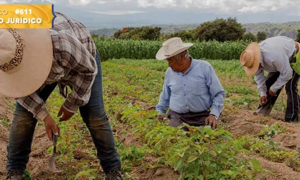 Una reforma laboral ajustada a Colombia (Shutterstock)