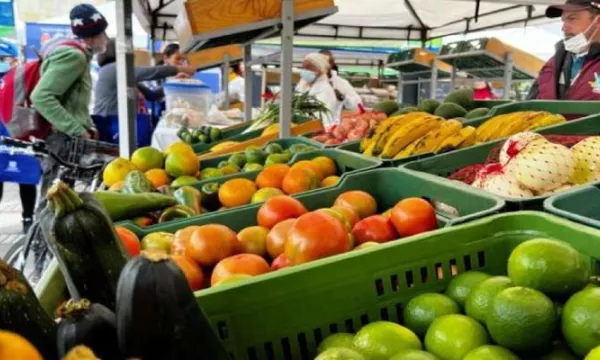 Protegen derechos de organización campesina excluida de programa de comercialización de productos agrícolas (Alcaldía)