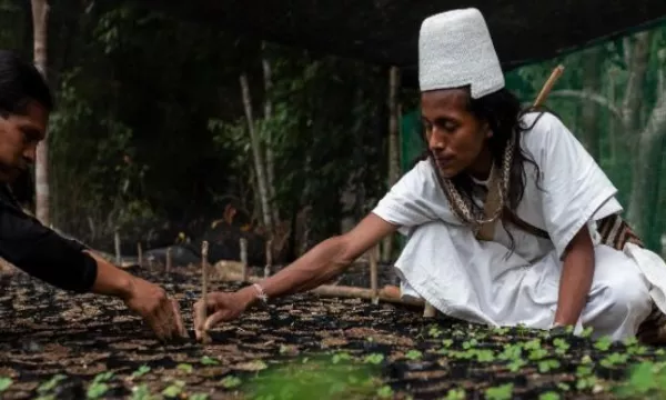 Mininterior deberá crear protocolo ante posibles conflictos intraétnicos (Minambiente)