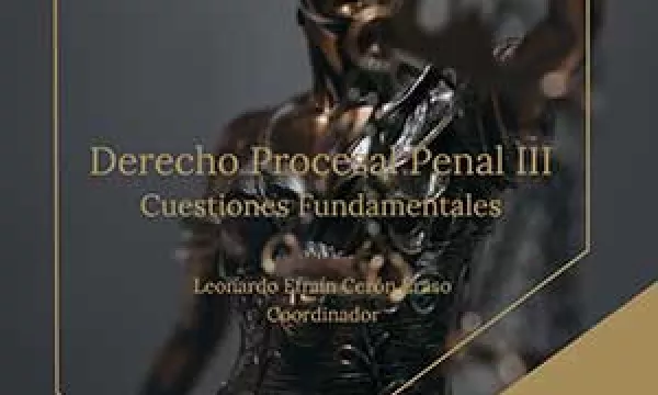 Derecho procesal penal III. Cuestiones fundamentales