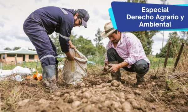 Interpretaciones alrededor del derecho agrícola y el derecho agrario