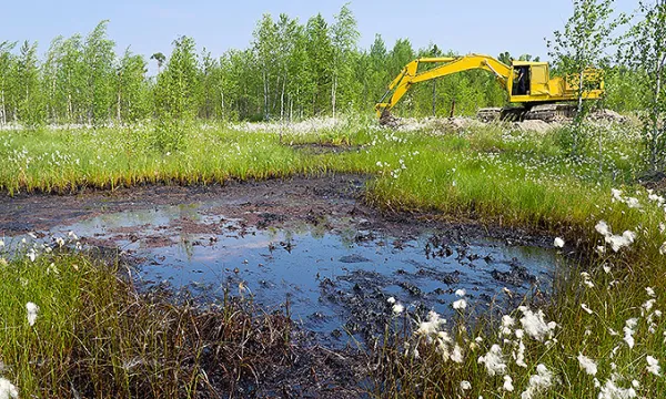 contaminacion-petroleo-derrameshut-1509241733.jpg