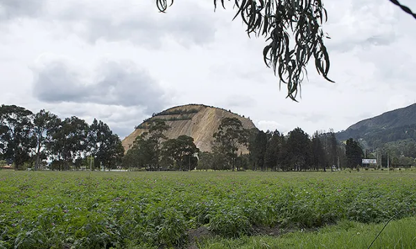 cultivos-campo-sembradosmac-1509241763.jpg