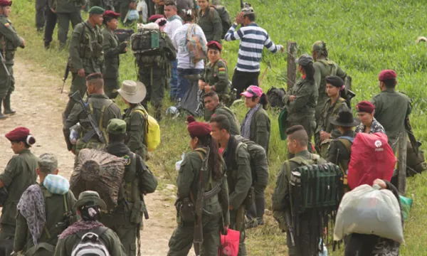 desmovilizacion-guerrilla-pazpresidencia9-1509241741.jpg