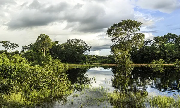 humedal-medioambiente-vegatacionshut-1509241886.jpg