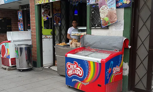 tiendadebarrio-helados-nevera3archivo-1509241758.jpg
