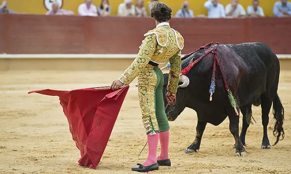 toros-corridas-torero1big-1509241761.jpg