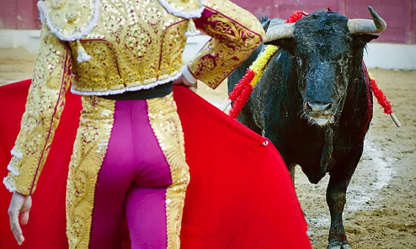 toros-corridas-torerobig-1509241715.jpg