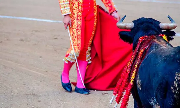 toros-corridas-torero2big.jpg