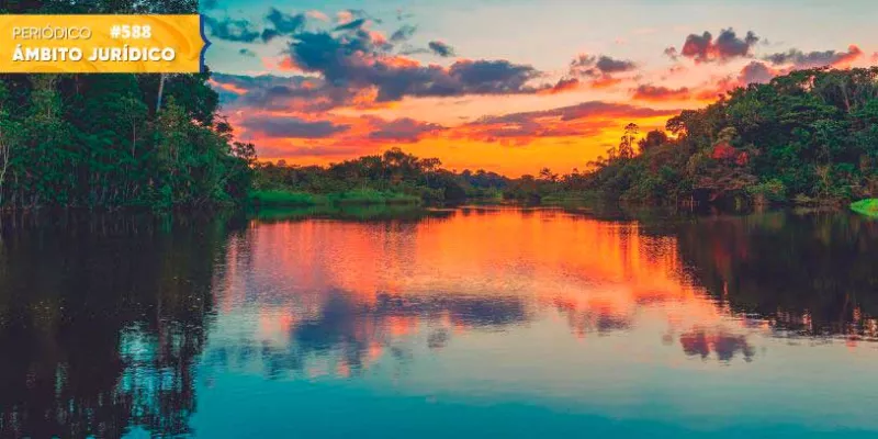 ¿Cómo se puede financiar la sostenibilidad del Amazonas con la deuda externa colombiana? (Shutterstock)