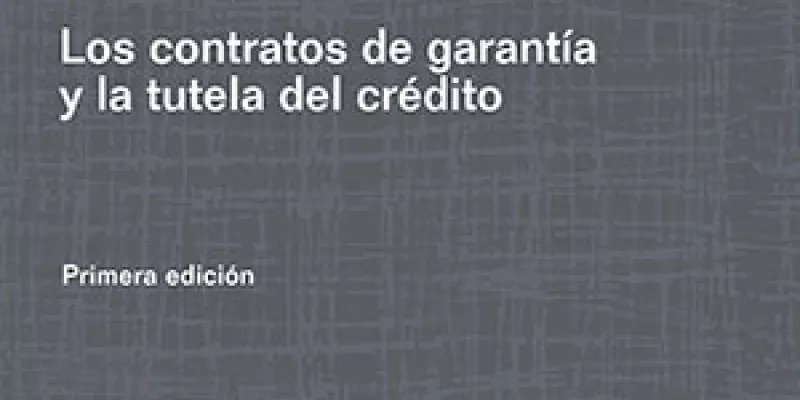 Contratos mercantiles. Los contratos de garantía y la tutela del crédito