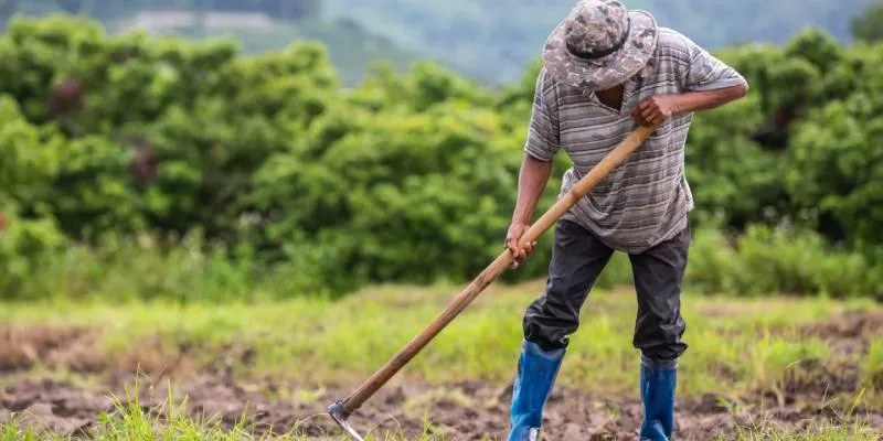 Campo-agricultura-rural(Freepik)