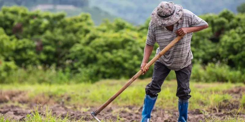 agricultor-pala-cavar-suelo-campos(freepik)