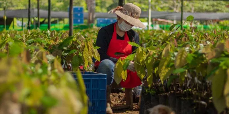 Gobierno abre convocatorias de regalías para proyectos de protección y conservación ambiental (Presidencia)