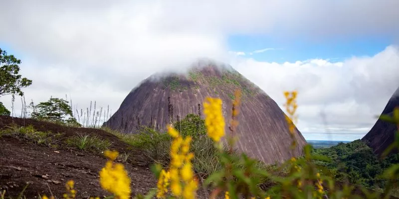 Abren convocatoria para elegir directores de corporaciones autónomas regionales (Minambiente)