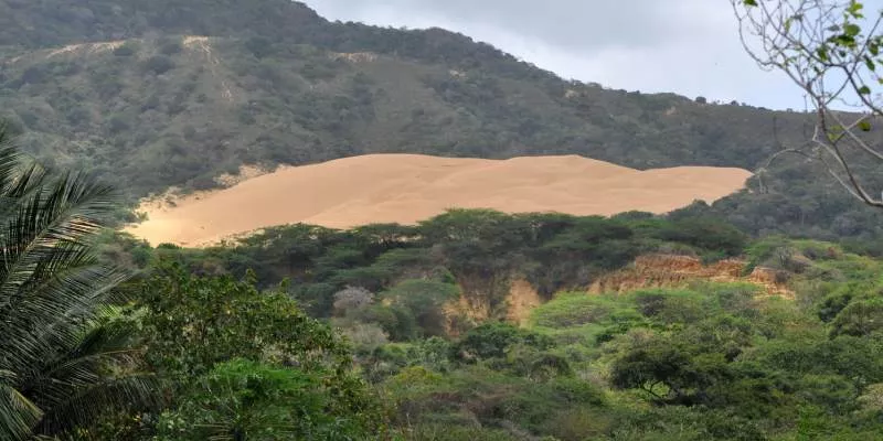 Inexequible decreto que adoptó medidas en materia ambiental y desarrollo sostenible para conjurar crisis de La Guajira (Minambiente)