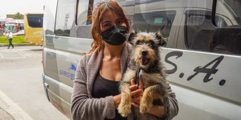 Medidas de las empresas de transporte público para transportar mascotas deben ser objetivas y razonables (Alcaldía)