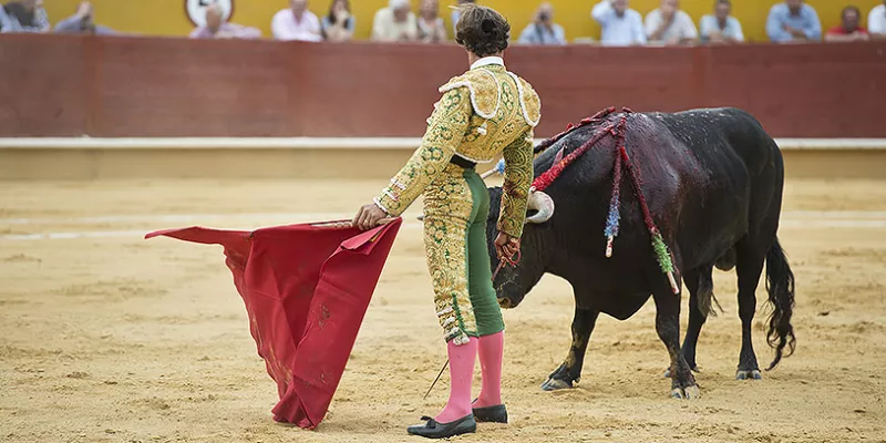 toros-corridas-torero1(big)