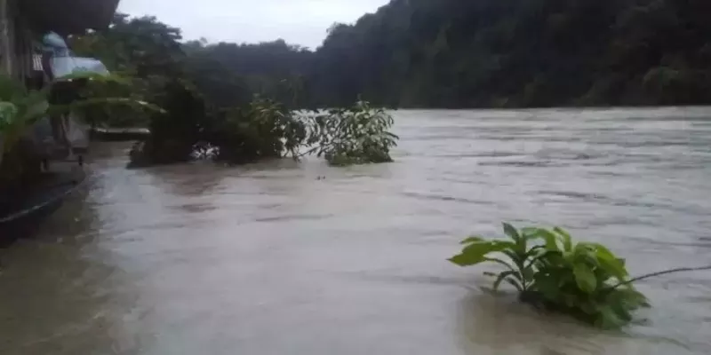 Confirman sanción por más de $ 203 mil millones por grave daño ambiental que sufrió el río Anchicayá (GobernacionValle)