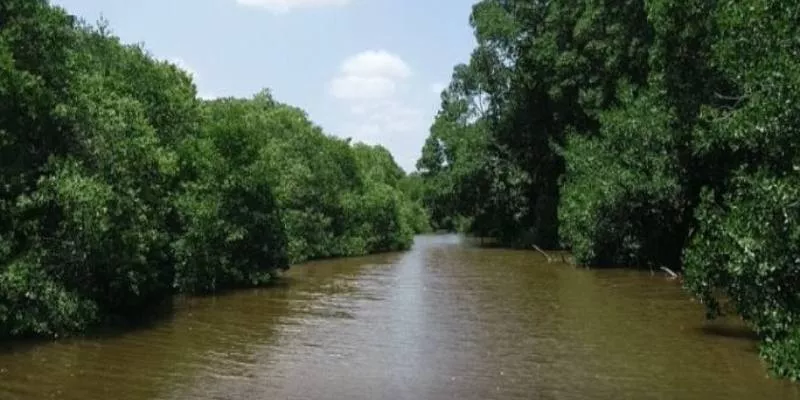 Minambiente adopta medidas para proteger fuentes hídricas de La Guajira (Corpoguajira)