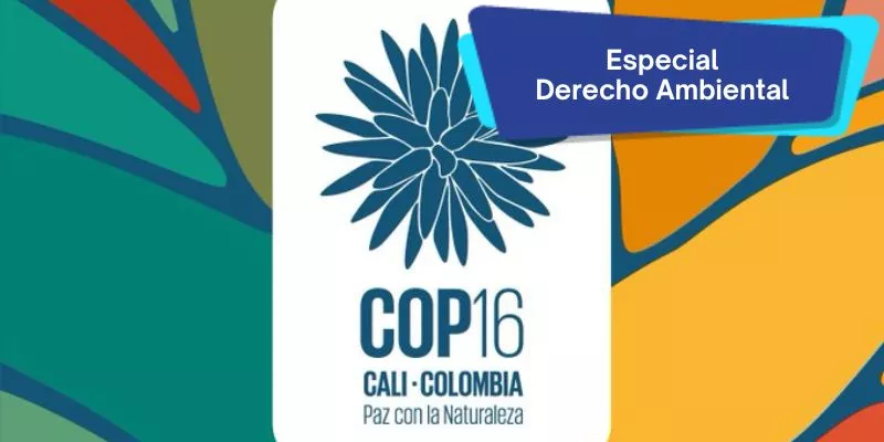 Supranacionalidad Ambiental: Dimensión Para Colombia De La COP16 ...