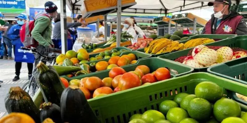 Protegen derechos de organización campesina excluida de programa de comercialización de productos agrícolas (Alcaldía)