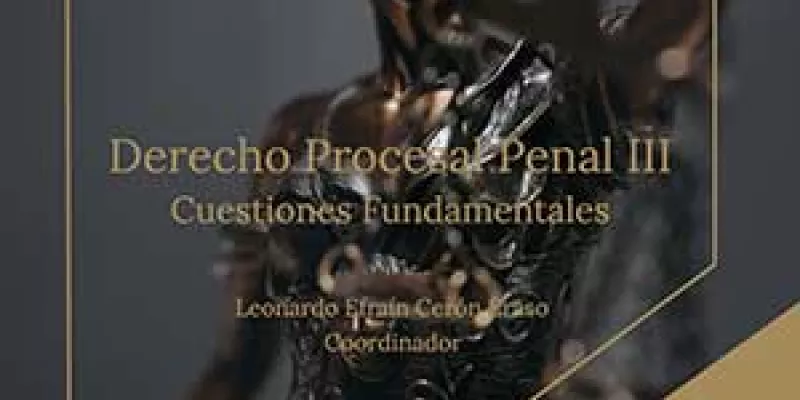 Derecho procesal penal III. Cuestiones fundamentales