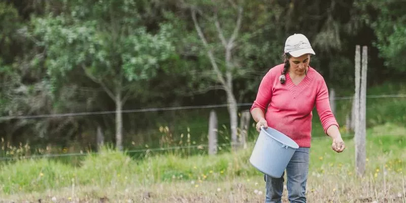 Gobierno identificó zonas clave para la producción de alimentos en Antioquia (Minagricultura)