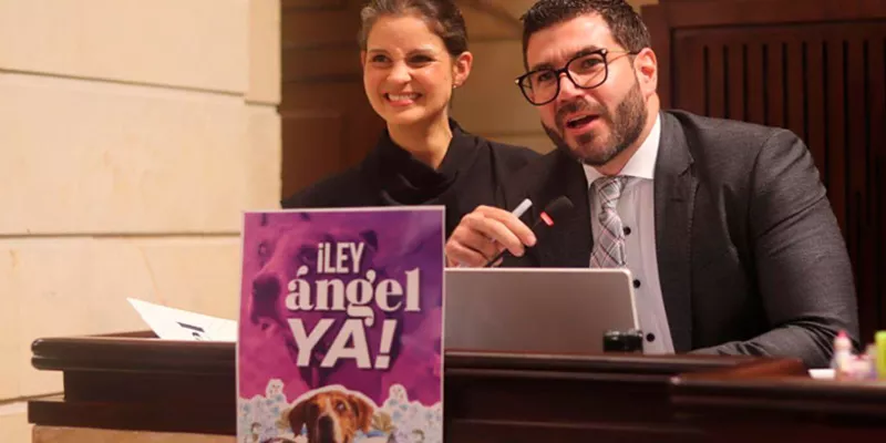 LEY-ANGEL-YA(Camaraderepresentates)