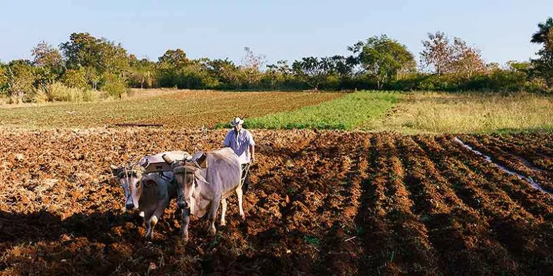 agricultura-cultivador-aradobig.jpg