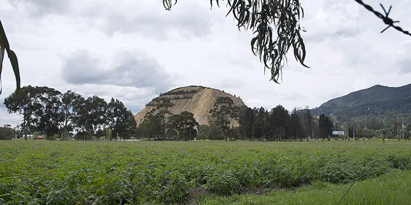 cultivos-campo-sembradosmac-1509241763.jpg