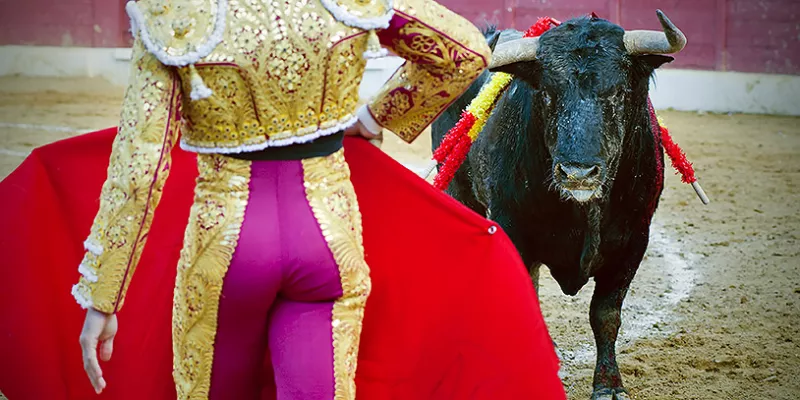 toros-corridas-torerobig-1509241715.jpg